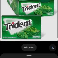 آدامس تریدنت