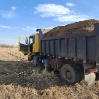 کودکوسفندی