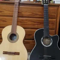 فروش گیتارپارسی ودیاموند