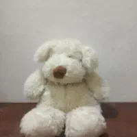 اسباب بازی|اسباببازی بچه|گرگان, |دیوار