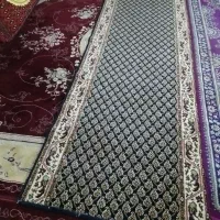 کناره فرش های سالم|فرش|قم, سید معصوم|دیوار