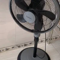 پنکه
