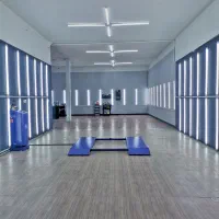 تشخیص رنگ نقیبی