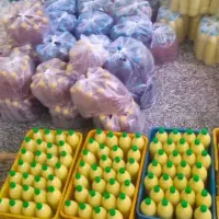 تولیدوپخش ابلیموابغوره سرکه سیب انگور ربگوجه انار|خوردنی و آشامیدنی|یزد, |دیوار