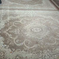 فرشا سالم|فرش|تربت‌حیدریه, رضاشهر|دیوار