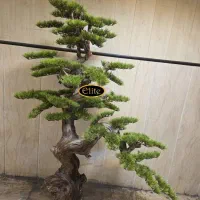 بنسای ژاپنی الیت|گل مصنوعی|تهران, ملکآباد|دیوار