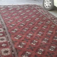 دو عدد فرش ۶ متره و یک ۹ متره دستباف دو جفت پشتی|فرش|زاهدان, |دیوار
