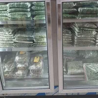 سبزی خورشتی آماده با پیک رایگان سراسر کرمانشاه