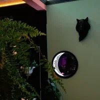 باریستا کمک باریستا با حقوق عالی|استخدام خدمات فروشگاه و رستوران|قوچان, |دیوار