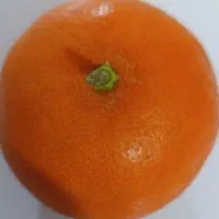 اجاره مغازه میوه فروشی