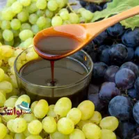 شیره انگور/شیره انجیر/شیره خرما/شیره توت