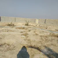فروش زمین گورک خورشیدی|فروش زمین و ملک کلنگی|چغادک, |دیوار