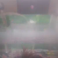 سلام بلیط استخر بفروش میرسد