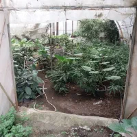 اجاره ۱۱۰ متری