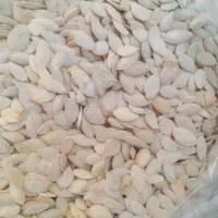 تخمه آجیلی|خوردنی و آشامیدنی|شاهین دژ, |دیوار