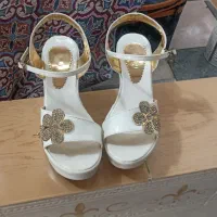 کفش مجلسی|کیف، کفش، کمربند|بیرجند, |دیوار