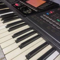 فروس ارگ جی ام مدل،WK8|پیانو، کیبورد، آکاردئون|سنگدوین, |دیوار