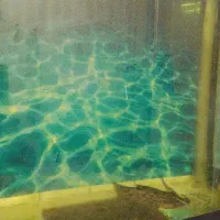 فروش ماهی با آکواریوم