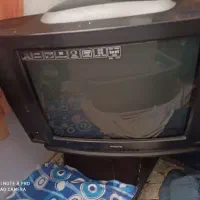 تلویزیون