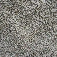 شاهدانه ی ریز افغان برای شور کردن و دانه ی پرنده