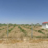فروش زمین 2000 متری تاکستان معاوضه و شرایطی|فروش زمین و ملک کلنگی|تاکستان, |دیوار