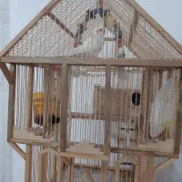 قفس چوبی عروس هلندی