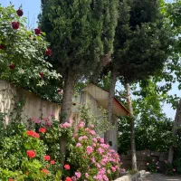 اجاره سالانه سوییت ویلا
