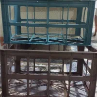 سبد کاهو و سبزی