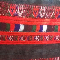 دوتا بدن آستین