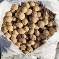 خوراک دام گوساله سیب وسیب زمینی دامی