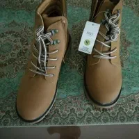 کفش|کیف، کفش، کمربند|شیراز, ریشمک|دیوار