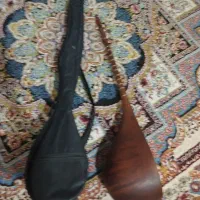 دوتار زیبا|سازهای سنتی|بجنورد, |دیوار