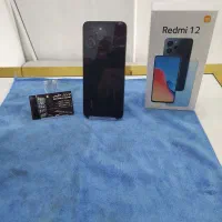 شیامی‌ردمی12