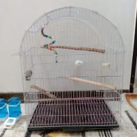 قفس پرنده با اقلام همراه