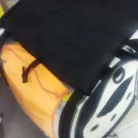 کیف حمل حیوان خانگی