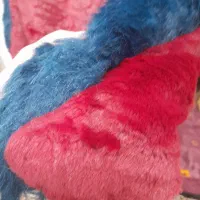 پالتو پشمی سایز ۴۰ نوو|لباس|شهریار, شهرک امیریه|دیوار