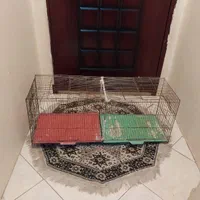 قفس بزرگ وقفس جوجه پرون|لوازم جانبی حیوانات|تهران, ائمه اطهار|دیوار