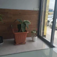 استخدام سرایدار دست به آچار