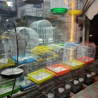 مرغ عشق قناری سهره فنچ برزیلی عروس هلندی