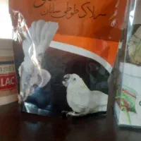 غذای پرنده