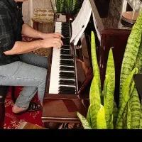 پیانو و کیبورد  اموزشی