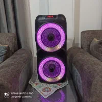 اسپیکر رویال ساند d33