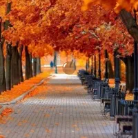 مسافر دربست