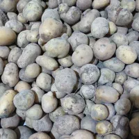 سیب زمینی ریز