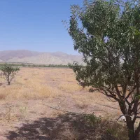 زمین در تسوج