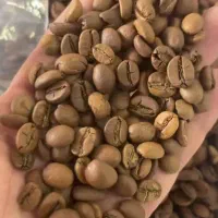 فروش قهوه