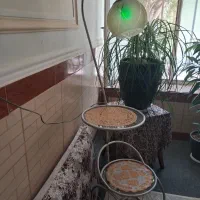 آباژور