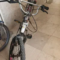 دو عدد دوچرخه شماره 20|دوچرخه، اسکیت، اسکوتر|مسجد سلیمان, |دیوار