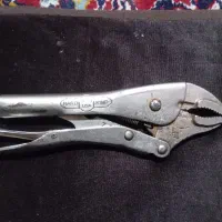 اچارکلاغی امریکایی