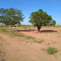 فروش زمین ۴۰۰۰ متری با سهم آب